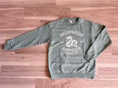 デビロック トレーナー 裏毛トレーナー 辰 龍 ユニクロ ブリーズ ブランシェス