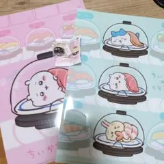 ちいかわ　くら寿司　クリアファイル　くりまんじゅうフィギュア