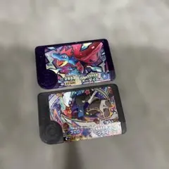 ポケモンフレンダ オーダイル ダークライ 2枚セット