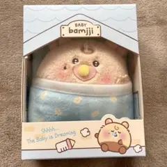 NCT DREAM BABY bamjji ぬいぐるみ チソン