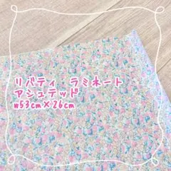 リバティ　ラミネート　アシュテッド