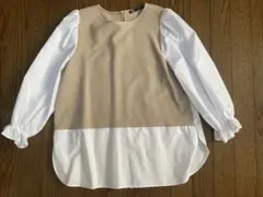 Item thumbnail for item 4089b924-899a-46a6-b17e-d2cd928f38a1