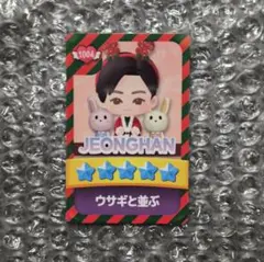 SEVENTEENセブチ NEW fc限定 パズチ トレカ ジョンハン