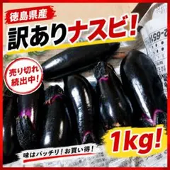 新鮮 農家直送 訳あり茄子 コンパクト便にたくさん詰めて 採れたて発送 