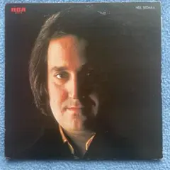 レコード] 上田正樹 PUSH & PULL LP - メルカリ
