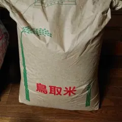 鳥取県産コシヒカリ10kg　即購入歓迎のサムネイル