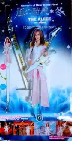 2025年最新】高見沢 アクリルギターの人気アイテム - メルカリ