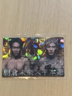 rizinウエハース