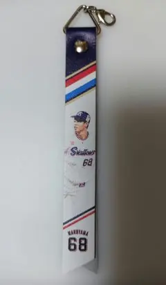 ヤクルトスワローズ ファン感 ボンフィン 丸山翔大選手