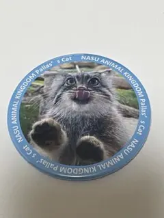 2025年最新】マヌル 缶バッジの人気アイテム - メルカリ