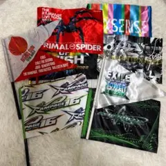 限定グッズ] EXILE LDH フラッグ バラ売り まとめ出品 おまけ付 - メルカリ