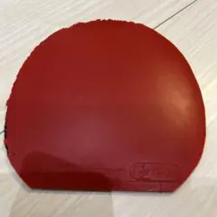 （39番）ベガ　ヨーロッパ