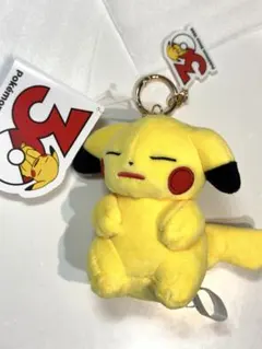 ポケモン30周年 ピカチュウ ぬいぐるみマスコット 完売品 中国限定 ①⑤