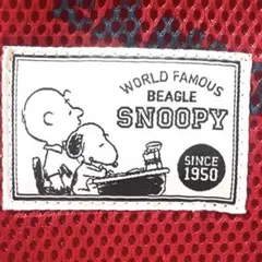マチあり　保冷バック　スヌーピー　PEANUTS お弁当袋　チャック付き