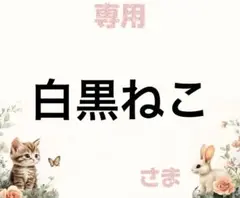 専用