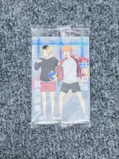 ハイキュー!! ウエハース5 カード　日向翔陽・孤爪研磨