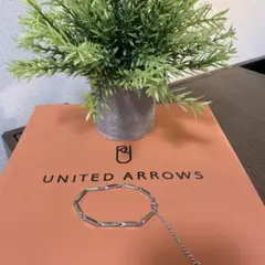 【極美品】UNITED ARROWS ダイヤモンドカット（19-25㎝）調整可能