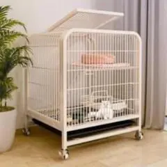 Item thumbnail for item fd3536ab-4282-42f4-94cb-68556ea05d38