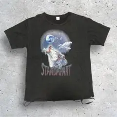 BROWNY VINTAGE ヴィンテージ　Tシャツ　ダメージ加工　サイズLのサムネイル