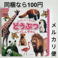 6カ所キズあり　指をさして遊ぼう　動物写真図鑑　光の国　0・1・2歳向き　写真