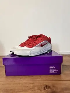 最安値！早い者勝ち　NIKE SB AIRMAX ISHODイショッド29cm