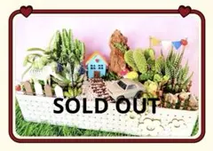 サボテン寄せ植え★箱庭★長く飾れますのサムネイル