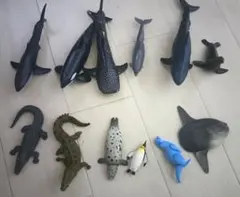 アニアキングダム　フィギュア　12体　海の動物セット