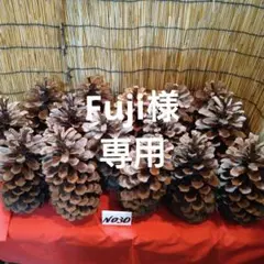 Fuji様専用です。他の方はご購入をご遠慮くださいませm(_ _)m