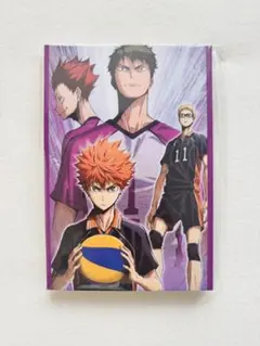 ハイキュー!! Happyくじ G賞 ポストカードブックvs白鳥沢学園