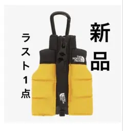 新品★ノースフェイス　ミニヌプシベスト キーリング イエロー