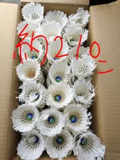 シャトル　バドミントン　トスバッティング