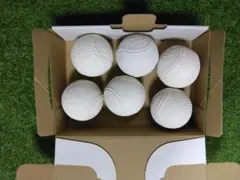 Item thumbnail for item ba6124fd-e0e1-4509-9a52-d2992e3b3540