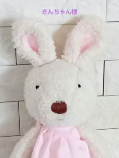 きんちゃん様