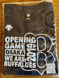 Item thumbnail for item 73470edc-17d1-4f06-ae91-b3321fd69c45