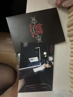straykids 리노