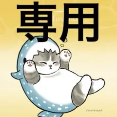 ginsan69様 リクエスト 2点 まとめ商品