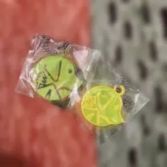 Item thumbnail for item c40e43b4-fccb-4209-8eb6-e6bd57b4e8c1