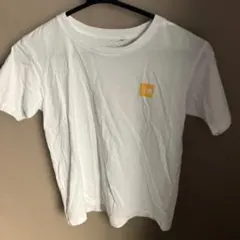 THE NORTH FACE ホワイト Tシャツ