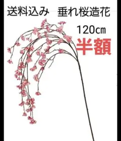 Item thumbnail for item 7a7fd89f-0584-42e2-b7d0-dc9702fb952e