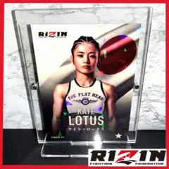 Item thumbnail for item 2a15133a-b946-4967-9617-9e39505d1496