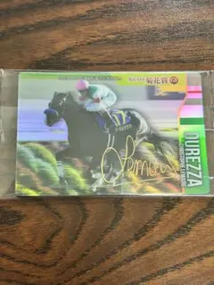 金箔サイン ドゥレッツァトレーディングカード サラブレッドコレクション