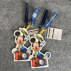 【未使用】ディズニーリゾート　バケーションパッケージ　チケットホルダー