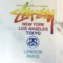 stussy☆アイロンシート