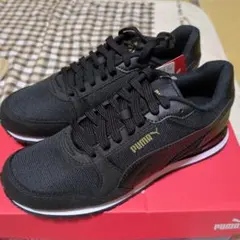 Item thumbnail for item d923d661-7c9e-46b7-8dd8-492f37fb18c8