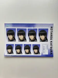 銀魂　銀八先生　証明写真　桂小太郎