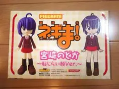 2025年最新】宮崎のどかの人気アイテム - メルカリ