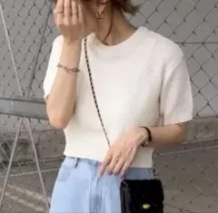 GRL サマーニット ショート丈　パフスリーブ ZARA discoat イエナ