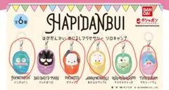 【未開封 5点セット】はぴだんぶい めじるしアクセサリー ソロキャンプ