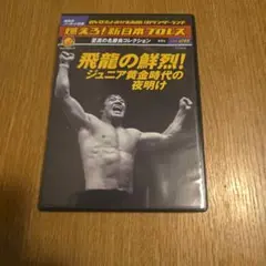 燃えろ！新日本プロレスvol.28