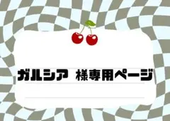 ガルシア様　専用ページ